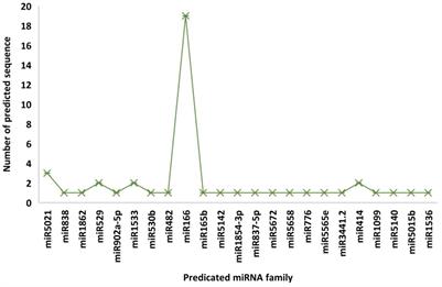 In silico identification of papaya genome-encoded microRNAs to target begomovirus genes in papaya leaf curl disease